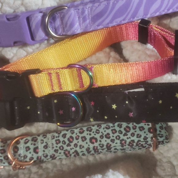 DOG COLLARS BRAND NEW BUNDLE PACK - Picture 3 of 3
